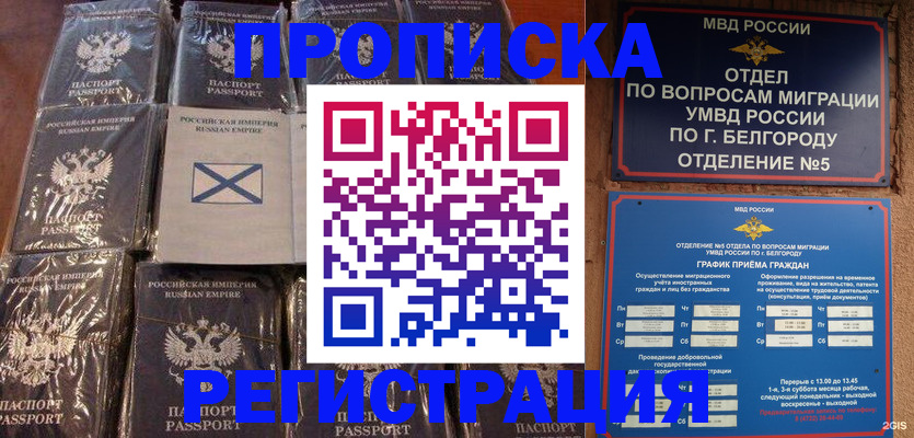 прописка гарантия в Тавде